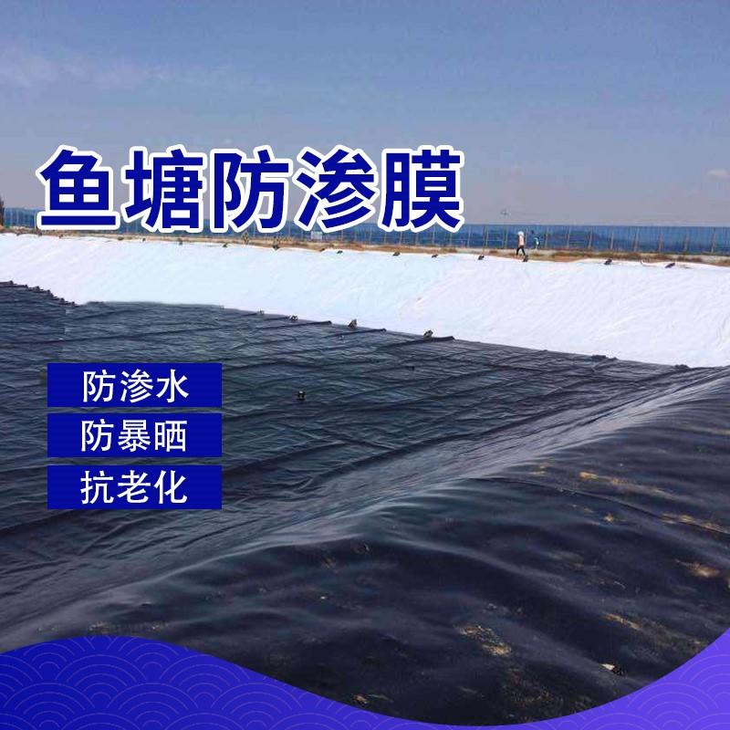 HDPE(高密度聚乙烯）土工膜价格
